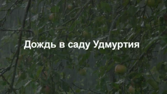Дождь в саду Удмуртия