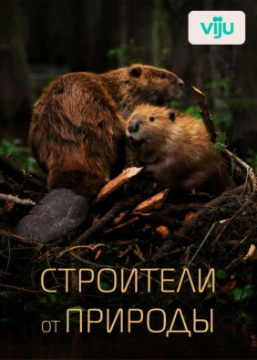 Строители от природы