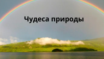 Чудеса природы