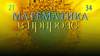 Математика в природе