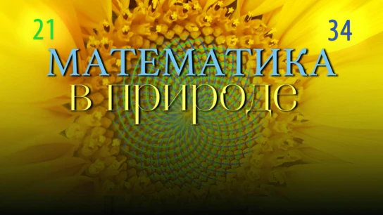 Математика в природе
