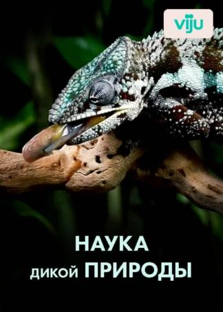 Наука дикой природы