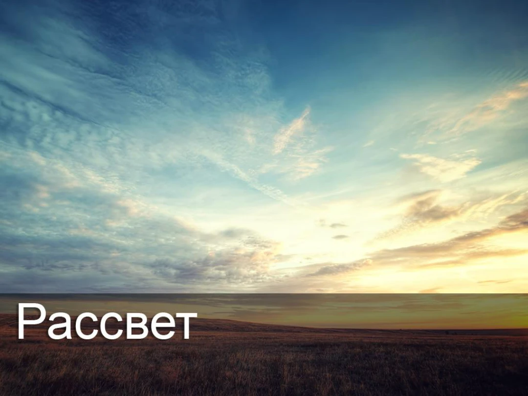 Передача Рассвет