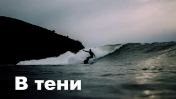 В тени