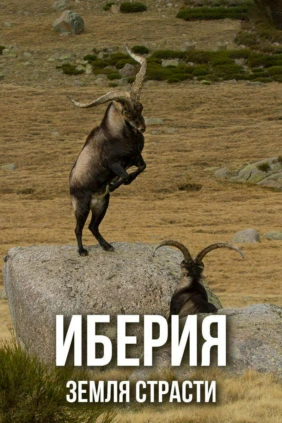 Иберия - земля страсти