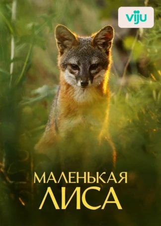 Маленькая лиса