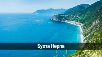Бухта Нерпа