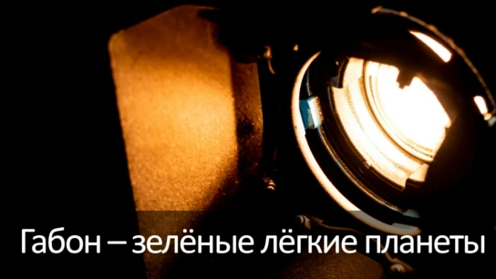 Габон – зелёные лёгкие планеты