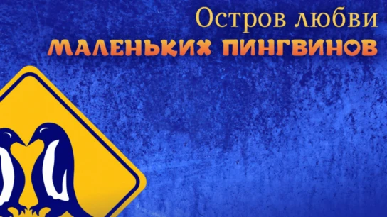 Остров любви маленьких пингвинов