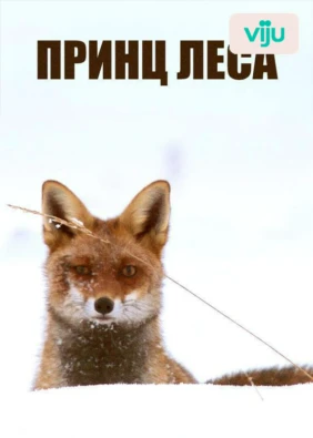 Принц леса