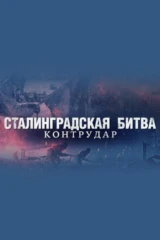 Сталинградская битва. Контрудар