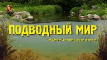 «Подводный мир» с Владимиром Солоповым и Сергеем Сорокиным
