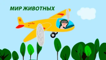 Мир животных
