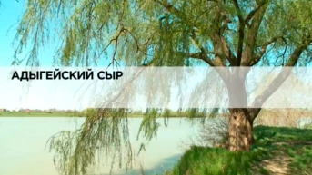 Адыгейский сыр