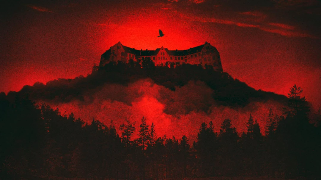 Фильм Тёмный лес 2