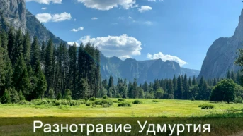 Разнотравие Удмуртия
