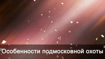 Особенности подмосковной охоты