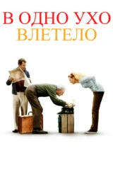 В одно ухо влетело