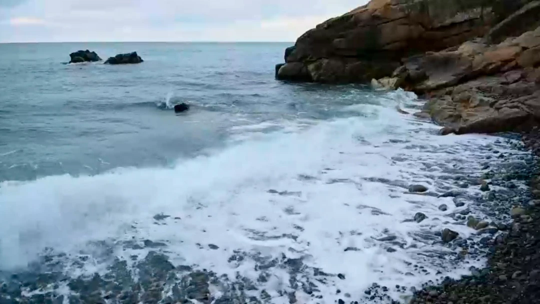 Передача Чёрное море