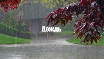 Дождь
