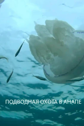 Подводная охота в Анапе