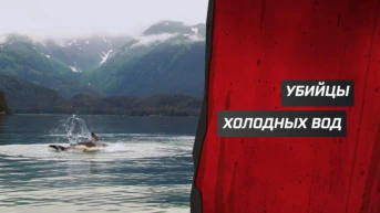 Убийцы холодных вод