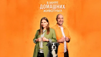 В мире домашних животных