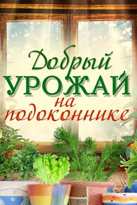 Добрый урожай на подоконнике