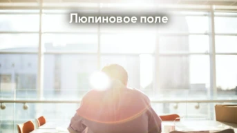 Люпиновое поле