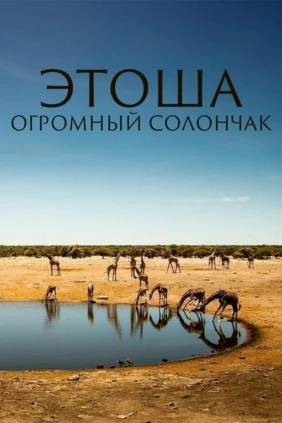 Этоша: огромный солончак