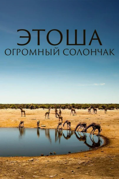 Этоша: огромный солончак
