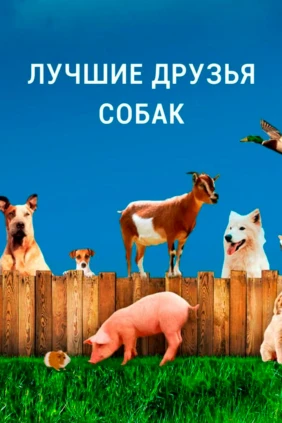 Лучшие друзья собак