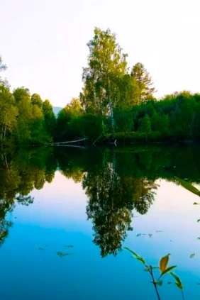 Лесное озеро