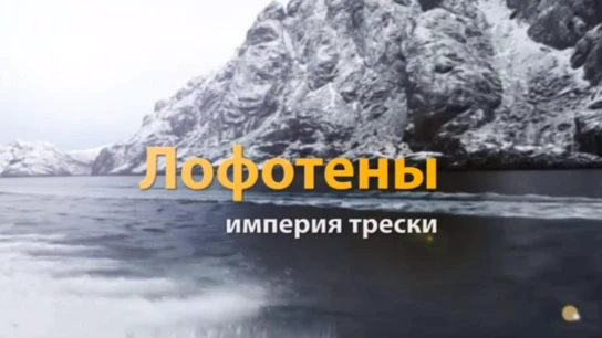 Лофотены — империя трески