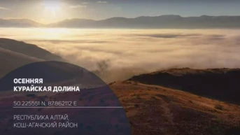 Осенняя Курайская долина