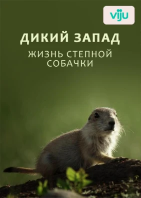 Дикий Запад: Жизнь степной собачки