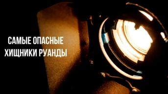 Самые опасные хищники Руанды