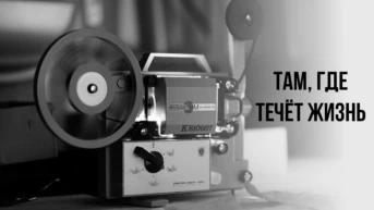 Там, где течёт жизнь