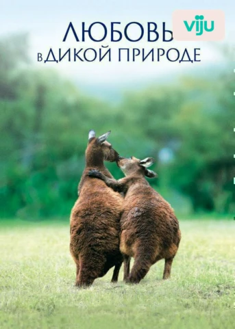 1 серия