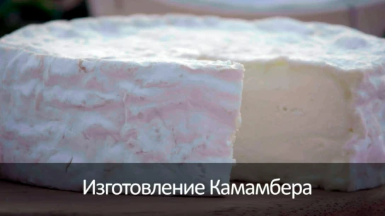 Изготовление Камамбера