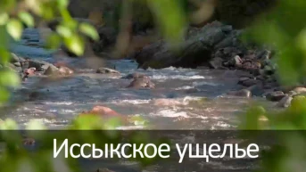 Иссыкское ущелье