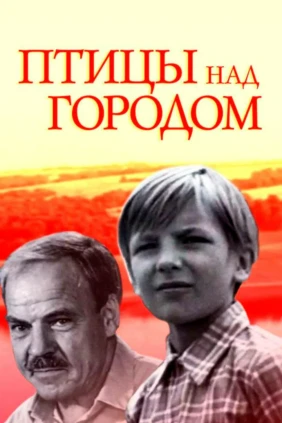 Птицы над городом