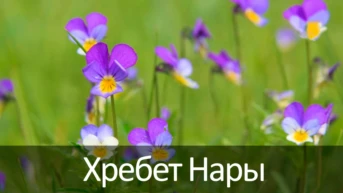Хребет Нары