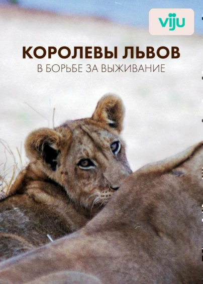 Королевы львов: в борьбе за выживание
