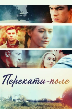 Перекати-поле