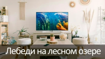 Лебеди на лесном озере