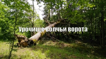 Урочище волчьи ворота