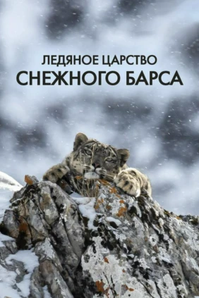 Ледяное королевство снежного леопарда