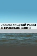 Ловля хищной рыбы в низовьях Волги