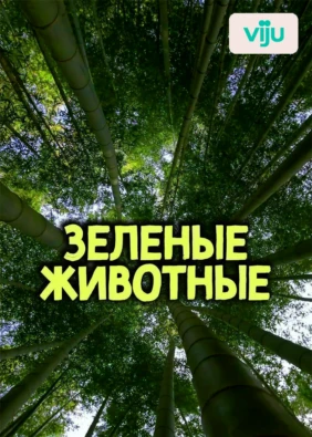 Зеленые Животные